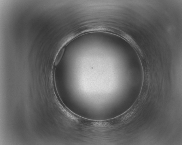 X0000058780805200509301113