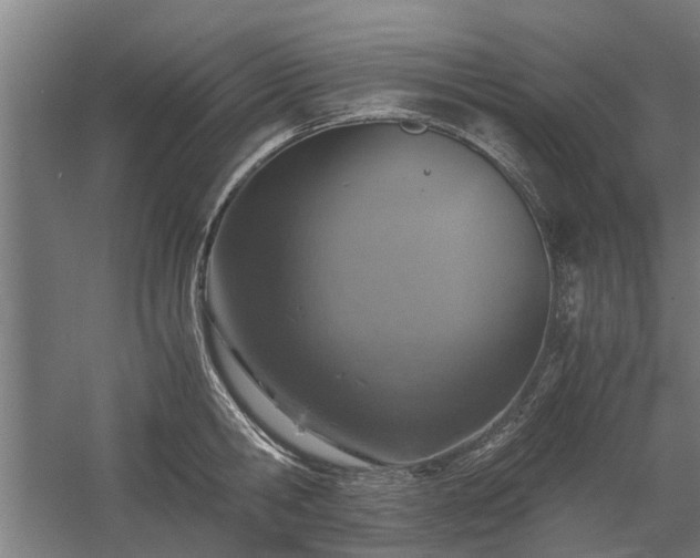 X0000058780806200509301113