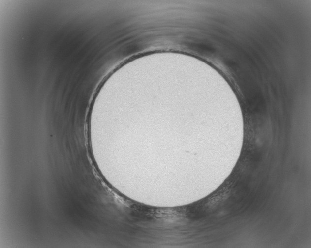 X0000058780807200509301113