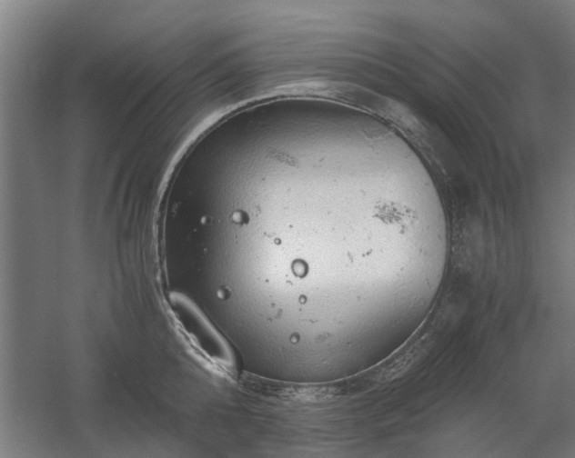 X0000058780808200509301113