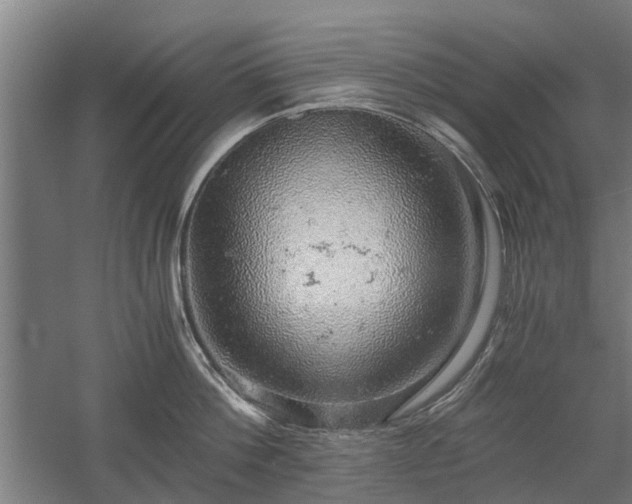 X0000058780812200509301113