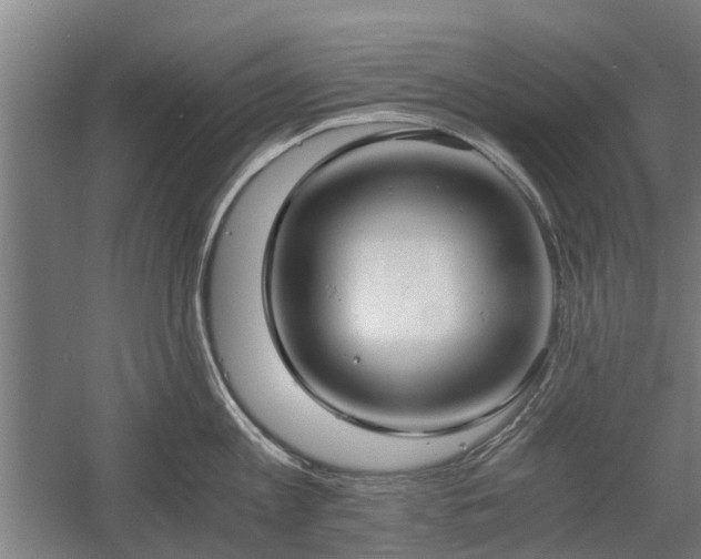 X0000058780813200509301113