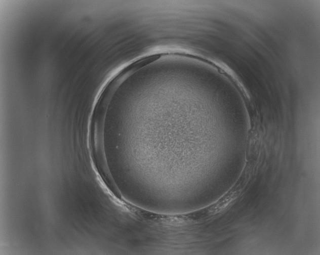 X0000058780815200509301113