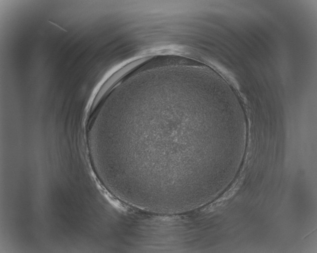 X0000058780816200509301113