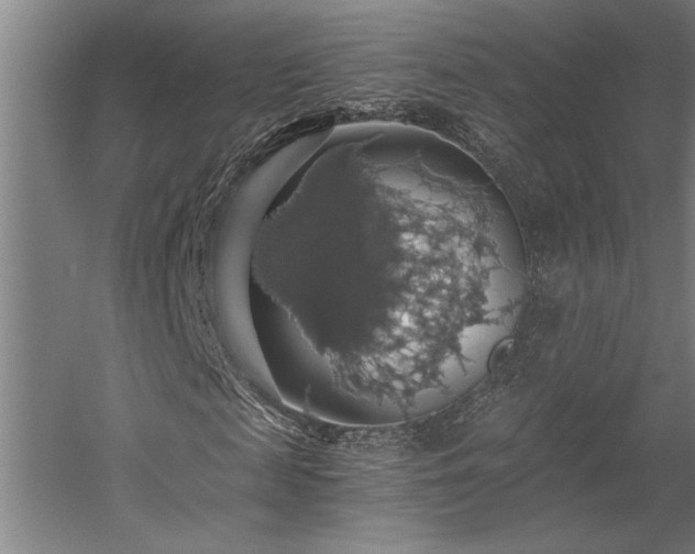 X0000058780817200509301112