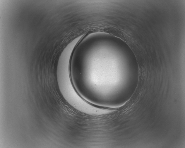 X0000058780818200509301112