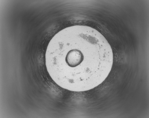 X0000058780820200509301112