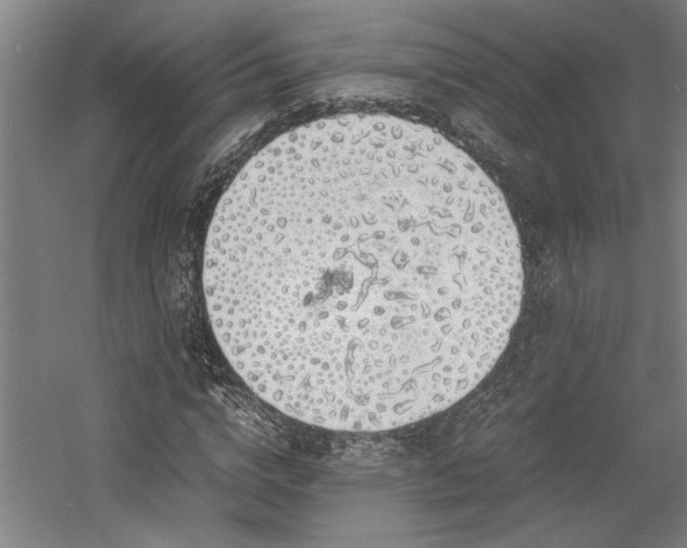 X0000058780824200509301112