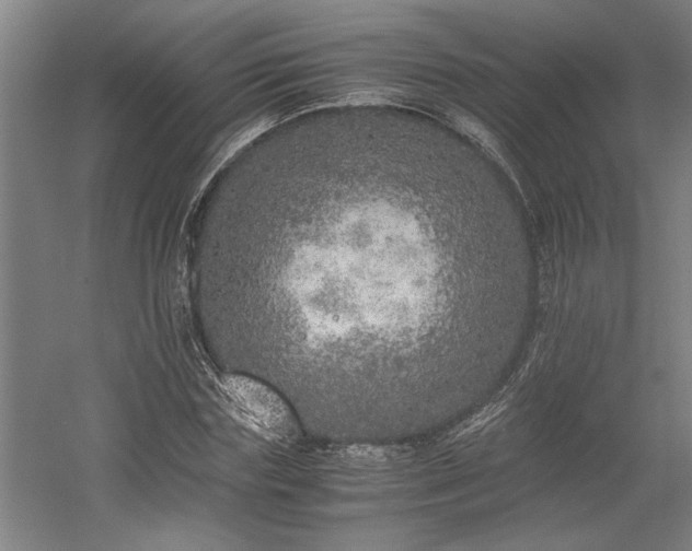 X0000058780827200509301112