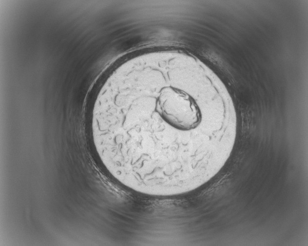 X0000058780828200509301112