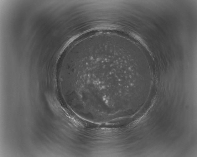 X0000058780829200509301112