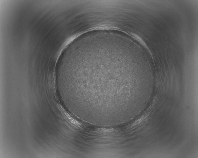 X0000058780831200509301112