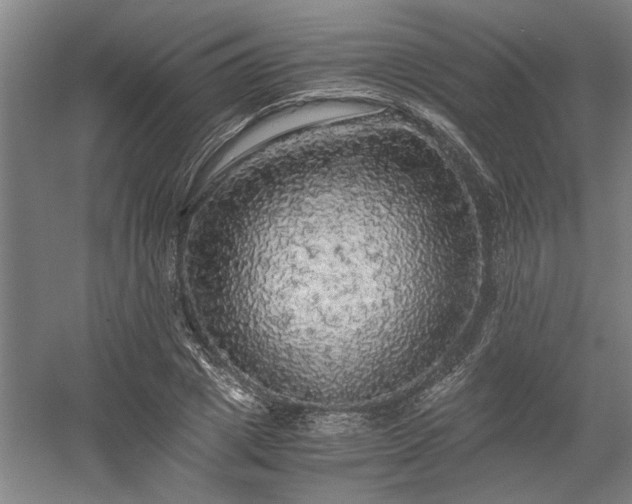 X0000058780833200509301112