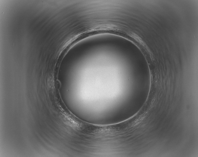 X0000058780834200509301112