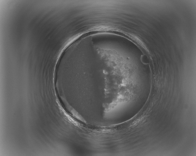 X0000058780839200509301112