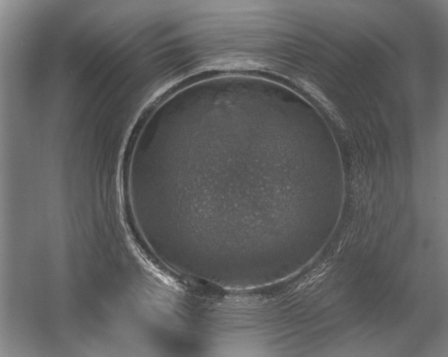 X0000058780840200509301112