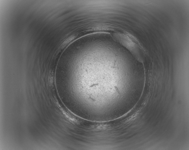 X0000058780841200509301112