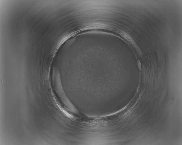 X0000058780842200509301113