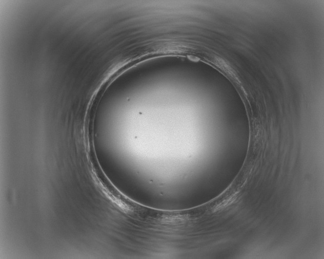 X0000058780843200509301113