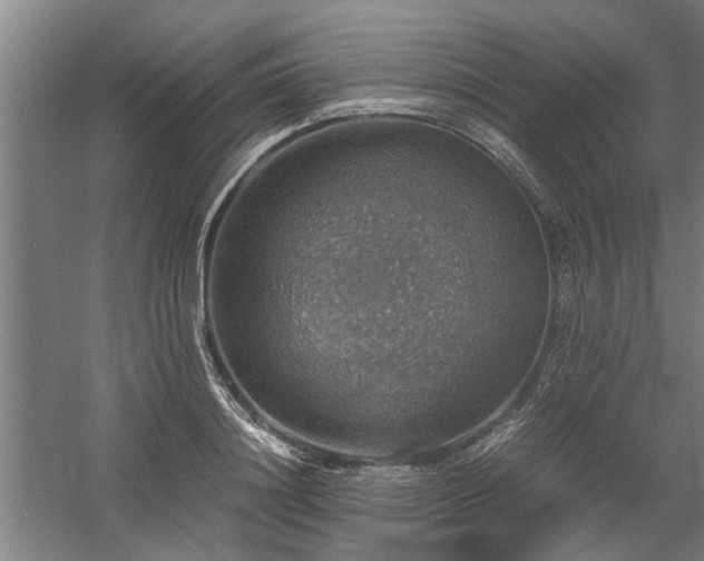 X0000058780844200509301113