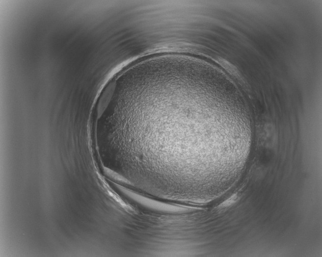 X0000058780846200509301113