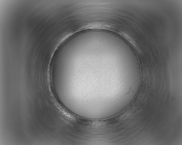 X0000058780848200509301113