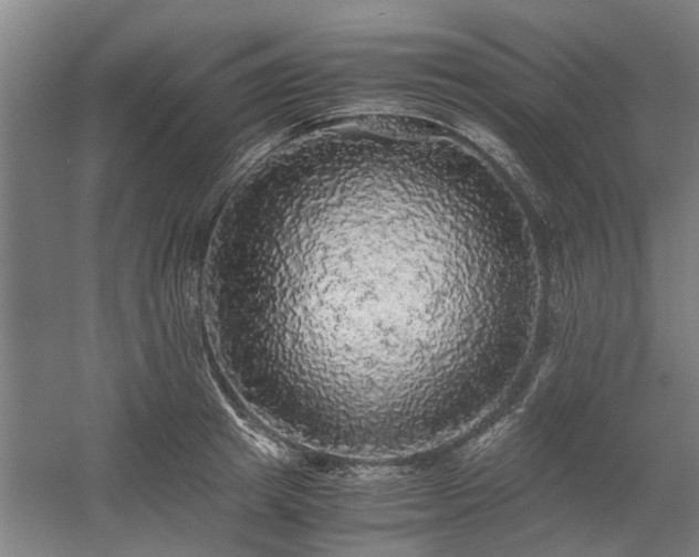 X0000058780849200509301113