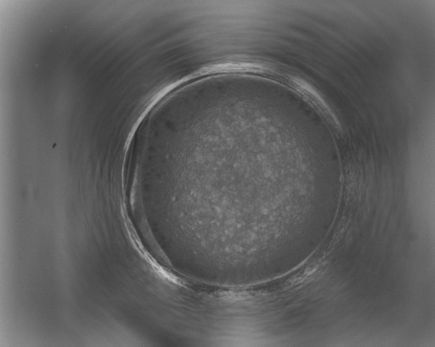 X0000058780852200509301113