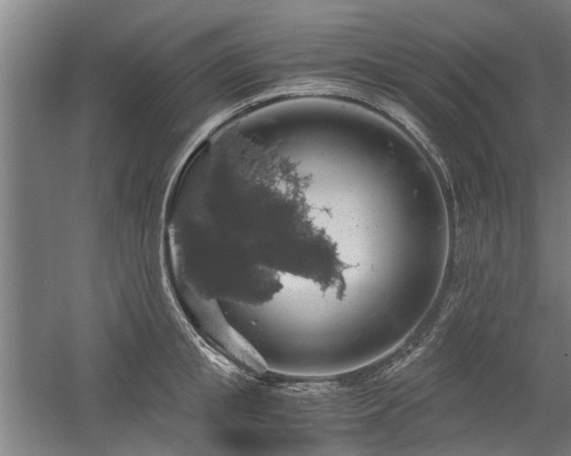 X0000058780853200509301113