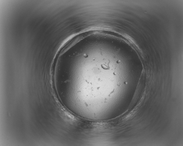 X0000058780854200509301113