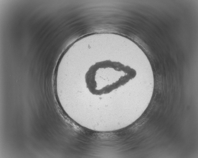 X0000058780856200509301113