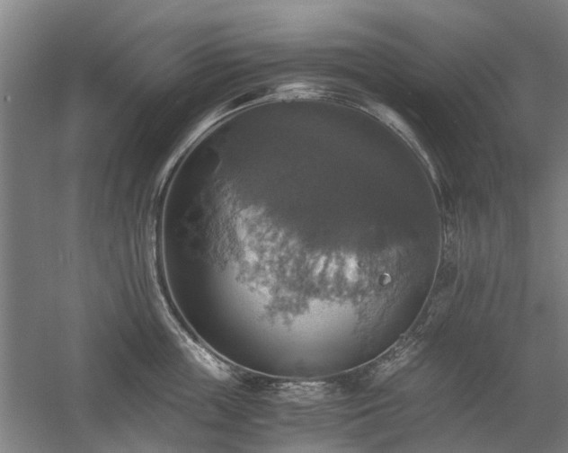 X0000058780859200509301113