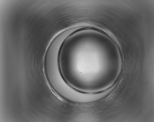 X0000058780862200509301113