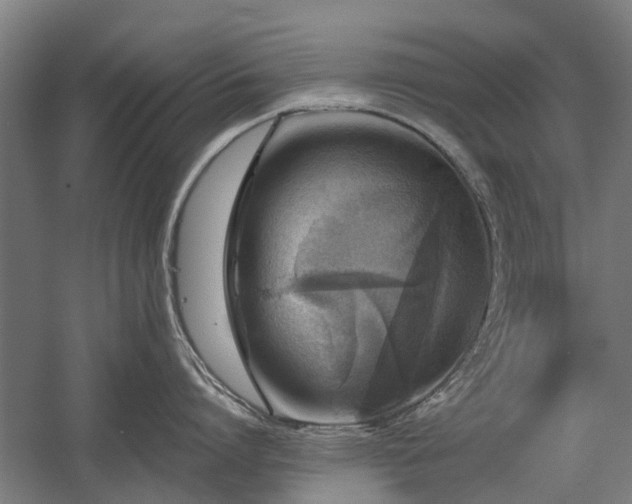 X0000058780864200509301113