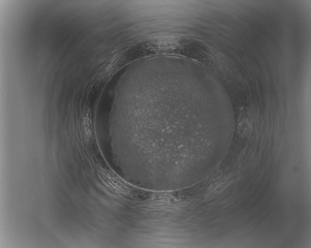 X0000058780866200509301112