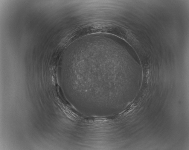 X0000058780868200509301112