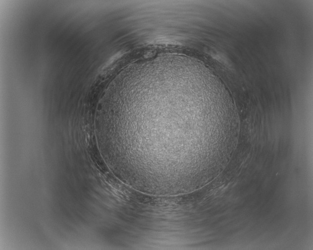 X0000058780870200509301112