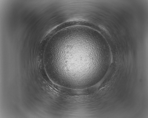 X0000058780872200509301112