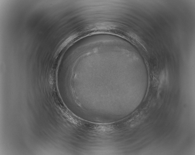 X0000058780874200509301112