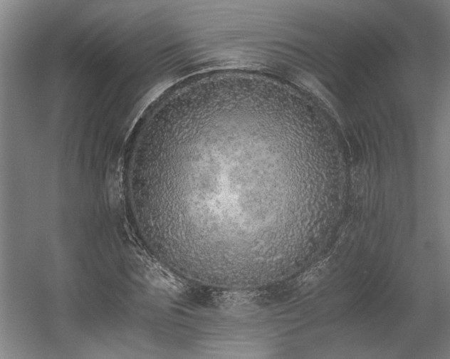 X0000058780875200509301112