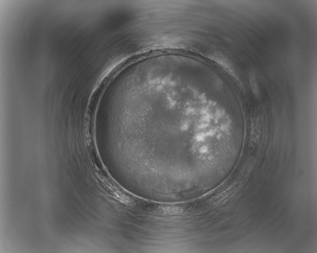 X0000058780878200509301112