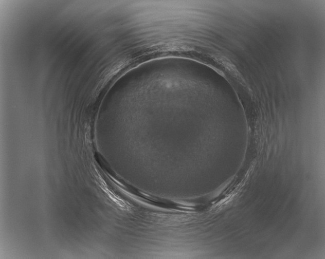 X0000058780881200509301112