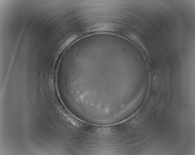 X0000058780882200509301112