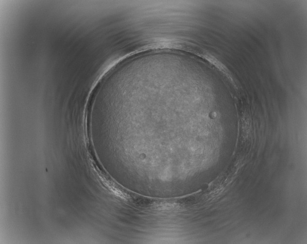 X0000058780886200509301112