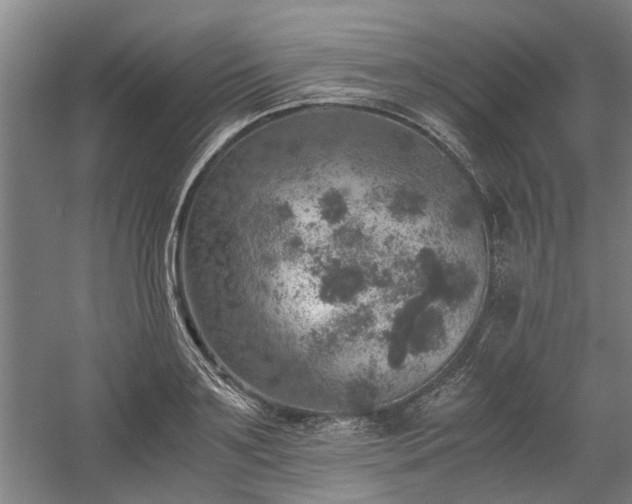 X0000058780891200509301112