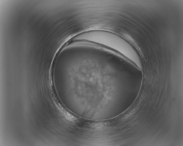 X0000058780892200509301112