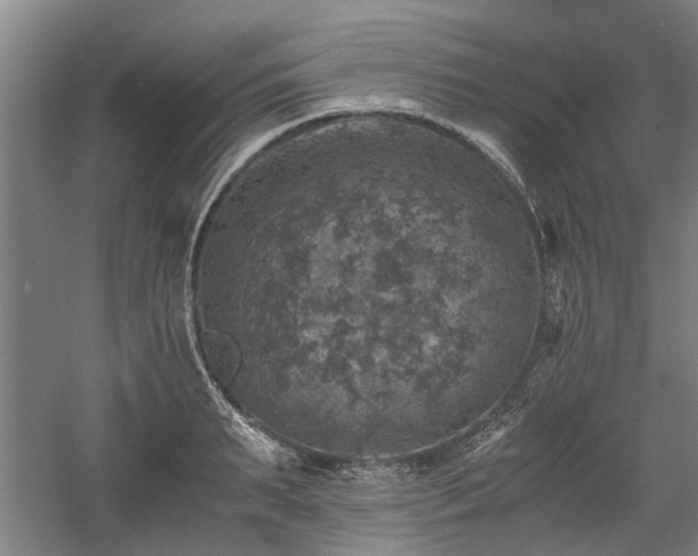 X0000058780895200509301112