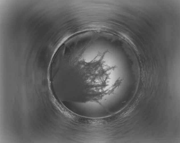 X0000058780899200509301111