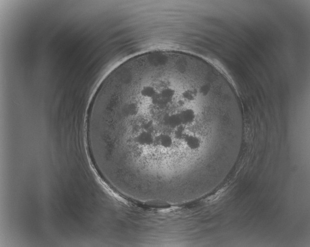 X0000058780903200509301111