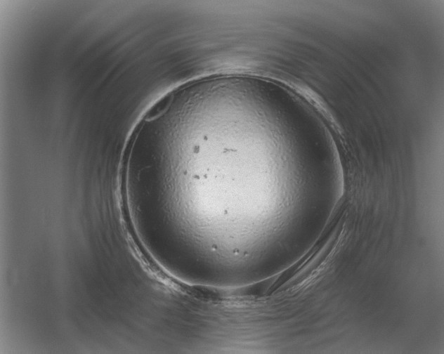 X0000058780904200509301111